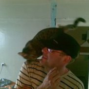 ����, 46 ���, �������