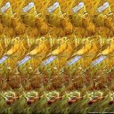 ���� ��������, �������, 52 ���� - ��������� 5 ���� 2013 � ������ ������ ��������