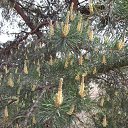  , , 63  -  19  2012   19.05.2012.