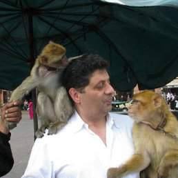 ���� Nizar, �����, 63 ���� - ��������� 3 ���� 2012