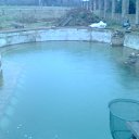 ���� �������, ����, 56 ��� - ��������� 4 ������ 2011 � ������ ���� ����������