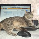���� Mila, ������ - ��������� 2 ���� 2012 � ������ ���� ���� 3�