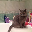 ��� ������