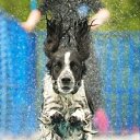 ���� ���������, ������, 36 ��� - ��������� 6 �������� 2011 � ������ �������