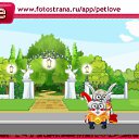 ���� ����, ��������, 24 ���� - ��������� 20 �������� 2010 � ������ �PetLove�