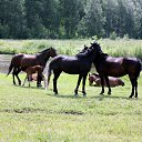 ���� ��������, �����������, 62 ���� - ��������� 20 �������� 2011 � ������ �������