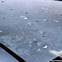 ���� Denis, �������, 39 ��� - ��������� 18 ������ 2012