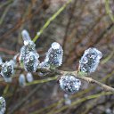 ���� ����������, �����-���������, 47 ��� - ��������� 1 ���� 2011 � ������ ������