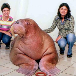 ���� �����, �����������, 48 ��� - ��������� 3 ������� 2010