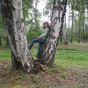 ���� �����, �����, 40 ��� - ��������� 28 ���� 2013 � ������ ���� ����������