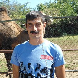 ���� ����, ������, 53 ���� - ��������� 10 ���� 2013