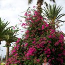 ���� �����, �����-��������� - ��������� 30 ���� 2011 � ������ ���� ����������