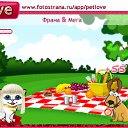  , , 42  -  8  2010   PetLove