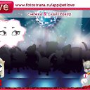 ���� ����, �������� - ��������� 25 ������� 2010