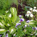 ���� �������, ������, 71 ��� - ��������� 11 ���� 2012 � ������ ������)))�