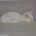 ���� �������, ������, 56 ��� - ��������� 26 ������ 2011 � ������ ���� �������� �����))�