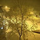 ���� ������, ����, 41 ��� - ��������� 2 ������� 2010 � ������ �����