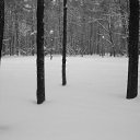   (Paolo Genua),  -  9  2010   ... ...