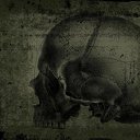 ���� �����, �����, 39 ��� - ��������� 8 ������� 2011 � ������ ���� ����������