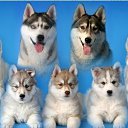 ���� "@����", �����-���������, 25 ��� - ��������� 6 ������� 2010 � ������ ��@��� �@��� �@��Ȼ