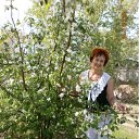 ���� ������, �������� - ��������� 9 ��� 2012 � ������ ���� ����������