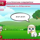  , , 38  -  13  2010   PetLove