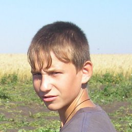 ���� ����, ������ ��������, 33 ���� - ��������� 11 ���� 2013