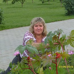 �����, ������, 62 ����