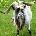 ���� Lana, �����-���������, 47 ��� - ��������� 6 ����� 2010 � ������ ���������