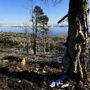 ���� ������, �������, 55 ��� - ��������� 25 ������ 2011 � ������ �������-�������. 2011�