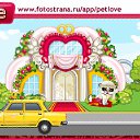 ���� Zulfuqar, ����, 49 ��� - ��������� 20 ������ 2011 � ������ �PetLove�