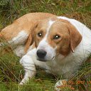 ���� �����, ������, 44 ���� - ��������� 7 �������� 2012 � ������ �������