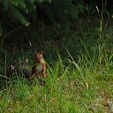 ���� ��������, ���������, 64 ���� - ��������� 23 �������� 2012 � ������ �������