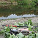 ���� ����, ��������, 47 ��� - ��������� 5 ������ 2013