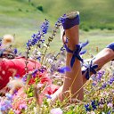 ���� �������, ����, 57 ��� - ��������� 8 ������� 2012 � ������ �������