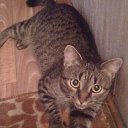 �������� �� ������� �������