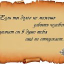���� �������, ����, 41 ��� - ��������� 8 ������ 2013 � ������ �������