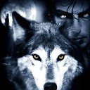 ���� �����, ��������, 34 ���� - ��������� 8 ���� 2011 � ������ �������