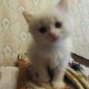 ���� ������, �����, 60 ��� - ��������� 28 ������� 2011 � ������ ������� ��ʻ