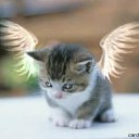 ���� �����, ������, 48 ��� - ��������� 11 ������ 2010 � ������ �PetLove�