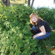 ����, 40 ���, ������