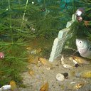 ���� ����, ������ - ��������� 22 ������� 2012 � ������ ���� ��������� �� ���������� �����!!!�