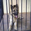 ���� ��������, ��������, 68 ��� - ��������� 11 ���� 2012 � ������ ���� ���� ���Ȼ