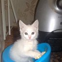 ���� ���������, ������, 38 ��� - ��������� 10 ������ 2011 � ������ �������