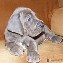 ���� ������, ������, 36 ��� - ��������� 25 ������� 2011 � ������ ������� �����