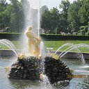 ���� ���� ����!, �������, 52 ���� - ��������� 4 ������� 2011 � ������ ���� ����������