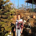 ���� ����, �����, 68 ��� - ��������� 6 ������� 2012 � ������ ���� ����������