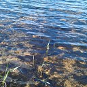 ���� Credo, ������� - ��������� 17 ���� 2012 � ������ ���� ����������