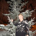 ���� ��������, ����������, 58 ��� - ��������� 28 ������� 2012 � ������ ���� ����������