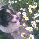 ����� �� ������� �������!�